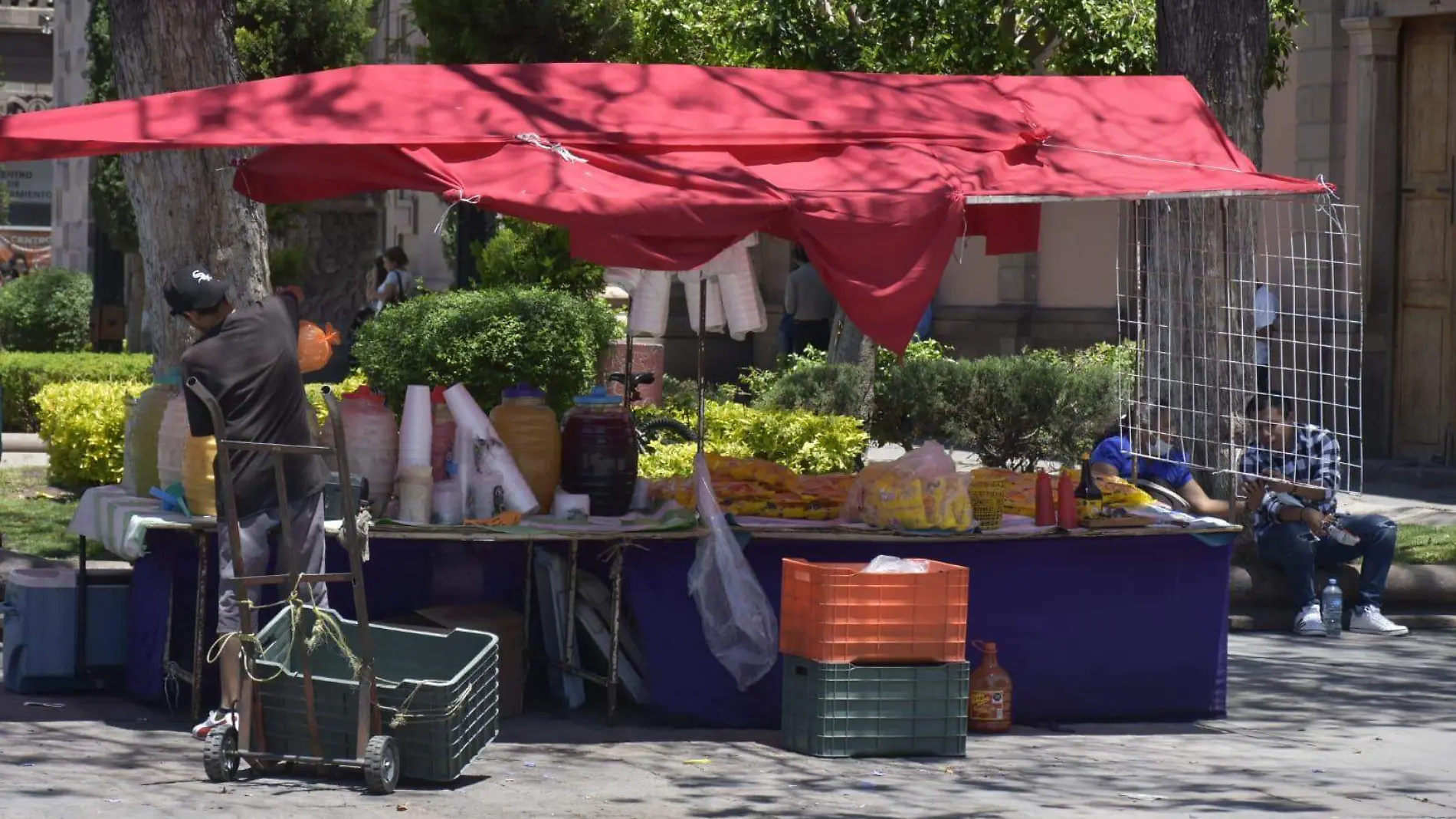 ordenar al comercio informal 1